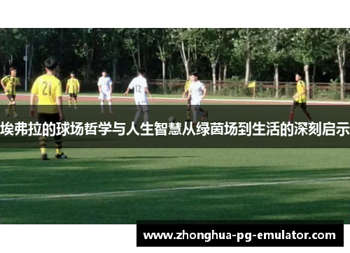 埃弗拉的球场哲学与人生智慧从绿茵场到生活的深刻启示