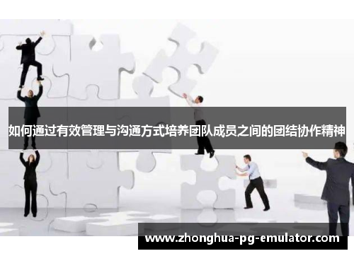 如何通过有效管理与沟通方式培养团队成员之间的团结协作精神