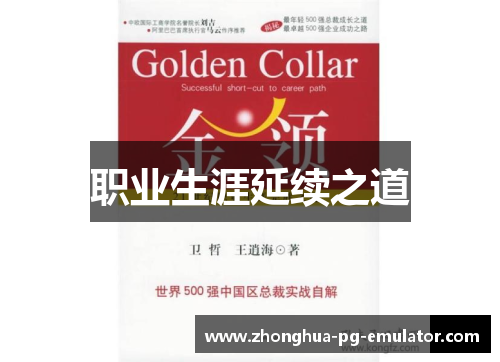 职业生涯延续之道