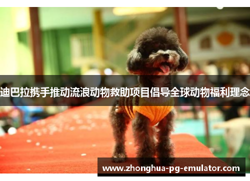 迪巴拉携手推动流浪动物救助项目倡导全球动物福利理念