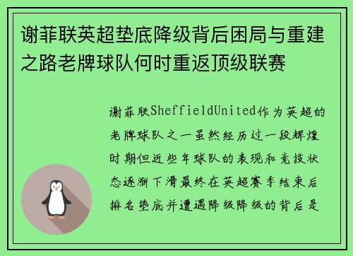 谢菲联英超垫底降级背后困局与重建之路老牌球队何时重返顶级联赛 谢菲联英超垫底降级背后困局与重建之路老牌球队何时重返顶级联赛
