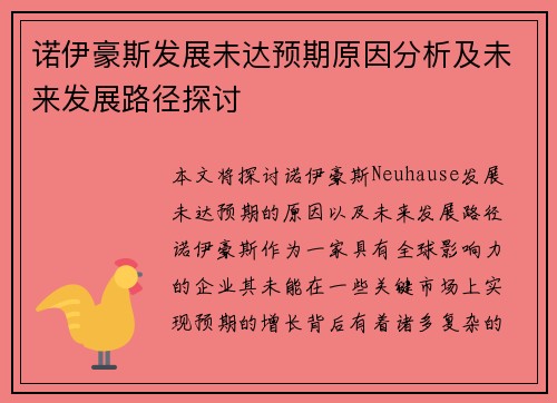 诺伊豪斯发展未达预期原因分析及未来发展路径探讨